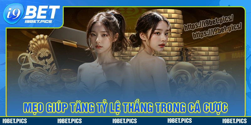 Mẹo tăng tỷ lệ thắng tại nhà cái mu88 cho người chơi mới